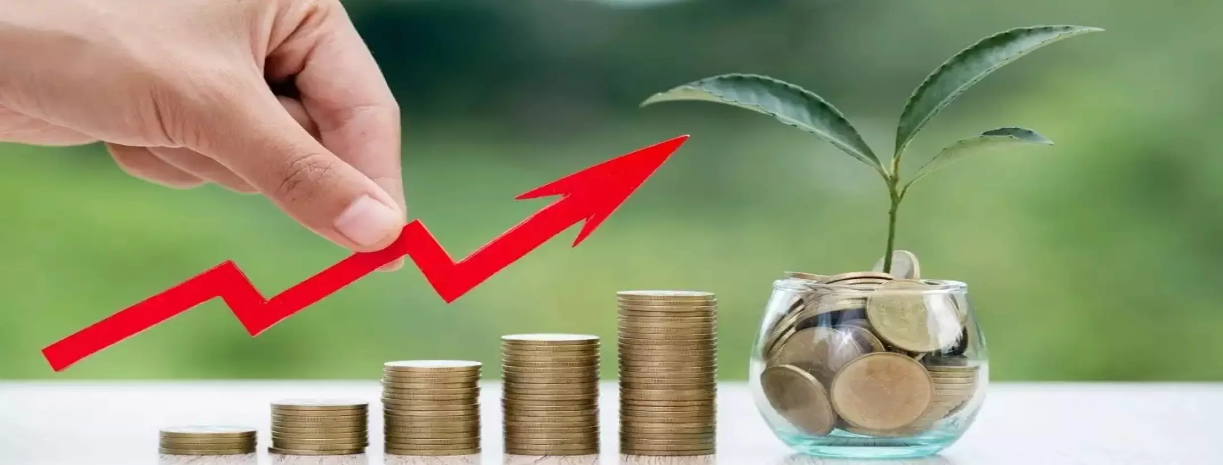 Image for Diversification Strategy